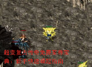 临Ŵ𱦵䣺ָֿ