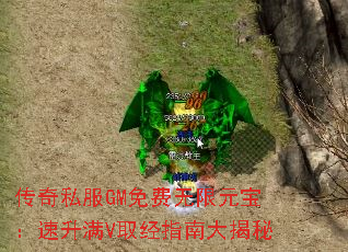 ˽GMԪVȡָϴ