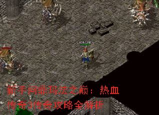 ʶ귨ۣ֮Ѫ3湥ȫ