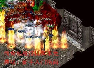 ˽һűѰ棺ָ