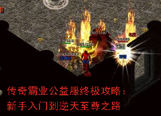 ҵռԣŵ֮·