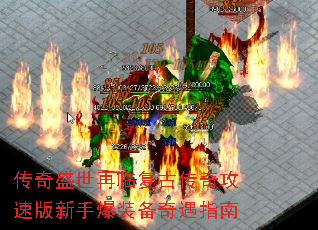 ʢٸŴ湥ֱٰװָ