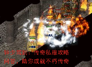 ټݵ˽ʴɾͲഫ