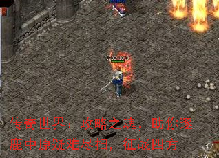磺֮꣬¹ԭѾɨսķ