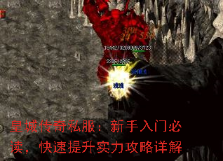 ʳǴ˽űضʵ