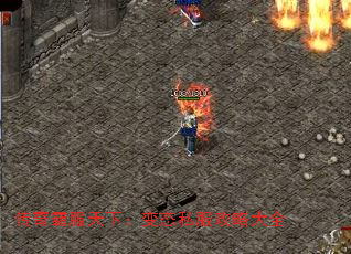 Է£̬˽Դȫ