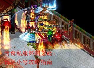 ˽ۣ֮СŹָ