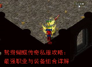 ԧ˽ԣǿְҵװ