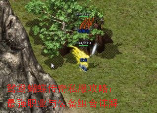 ԧ˽ԣǿְҵװ