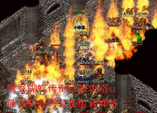 ԧ˽ԣǿְҵװ