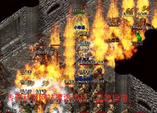 ˽վٳ֣Ӧָ