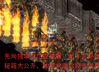 ɳͿԣֹֿؼ󹫿οٳưԴ