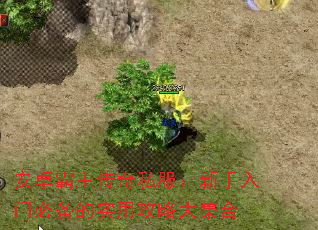 ׿˽űرʵùԴ󼯺