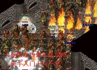 汾˽ԣʮʮ