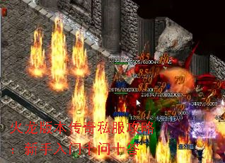 汾˽ԣʮʮ