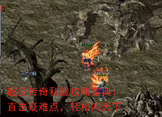 䴫˽Ա䣺ֱѵ㣬ɴ