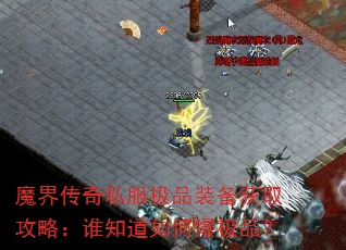 ħ紫˽Ʒװȡԣ˭֪αƷ