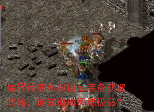 ħ紫˽Ʒװȡԣ˭֪αƷ