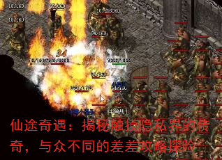 ;ش˽Ĵ棬ڲͬĲ̽