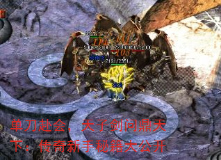 ᣬӽʶ£ؼ󹫿