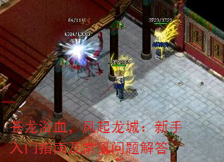 ԡѪǣָϼ