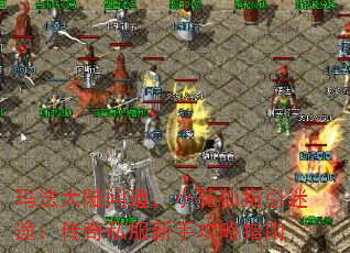 귨½ʵСָ;˽ָֹ