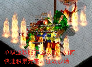 ְҵ˽ԣοٻԪսɳ