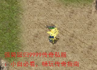 ǿƻع9999˽Сױؿ洫ָ