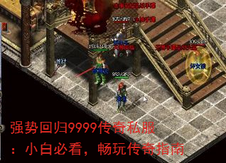 ǿƻع9999˽Сױؿ洫ָ