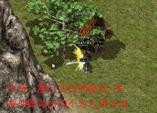棺ħ-̽ĲΪ֪֮