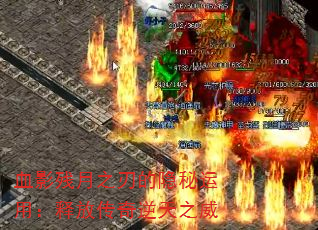ѪӰ֮еãͷŴ֮