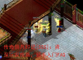 Ӷӡ[SSS]ָ·FAQ