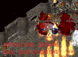 귨½ɫoָ·ս귨ָ