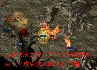 淨֮䣺귨½ָϡ˷BOSS