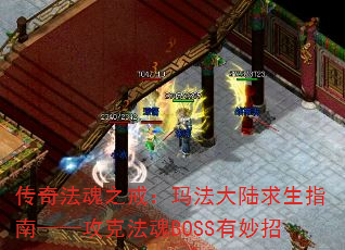 淨֮䣺귨½ָϡ˷BOSS
