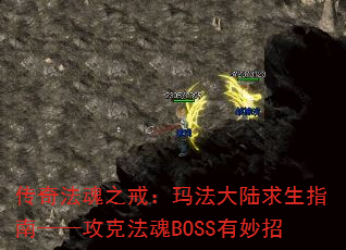 淨֮䣺귨½ָϡ˷BOSS