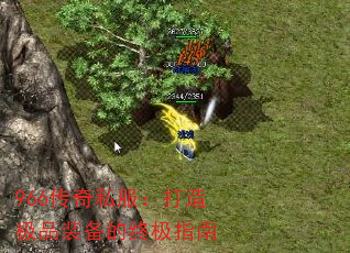 966˽켫Ʒװռָ