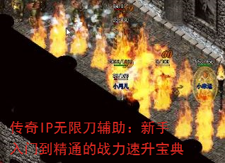 IP޵ŵͨս