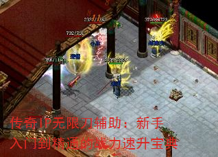 IP޵ŵͨս