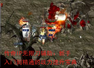 IP޵ŵͨս