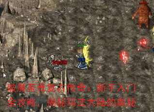 ħ𸴹Ŵ棺ȫԣ귨½İ