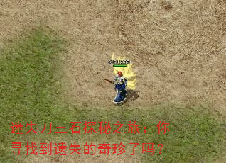 ʧʯ֮̽ãѰҵʧ