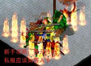 ֹԣ뿪˽Ӧ