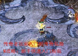 ´˽Mԣָֿ