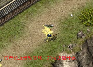 ˽¹ԣο