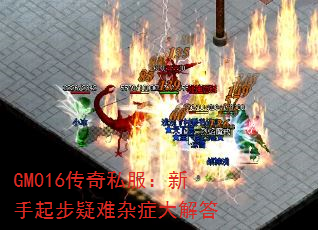 GM016˽֢