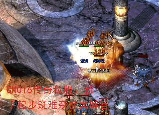 GM016˽֢