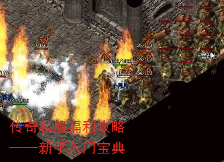 ˽ԡű