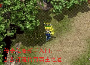 ˽ţһ촫֮