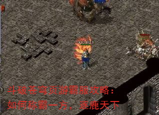 ƲҳΰԷԣγưһ¹